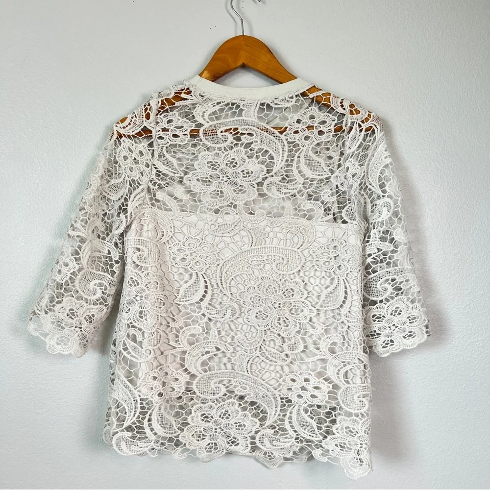 Zara Light Gray Lace Crochet with Inlay 3/4 Sleeve Top - Picture 4 of 6